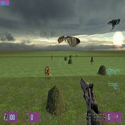 Z harrier2 f.jpg